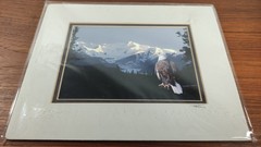 Original Photo Artwork American Bold Eagle Mountains Signed & Numbered by Artist