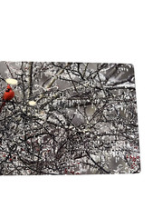 Paul Grecian Photograph on Metal 6″ x 4″ Cardinal on Icy Branch Signed Numbered