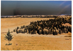 ACEO 4-pack Photographs, Mountains Trees Grass Seasons, River,CurvedTree, Color