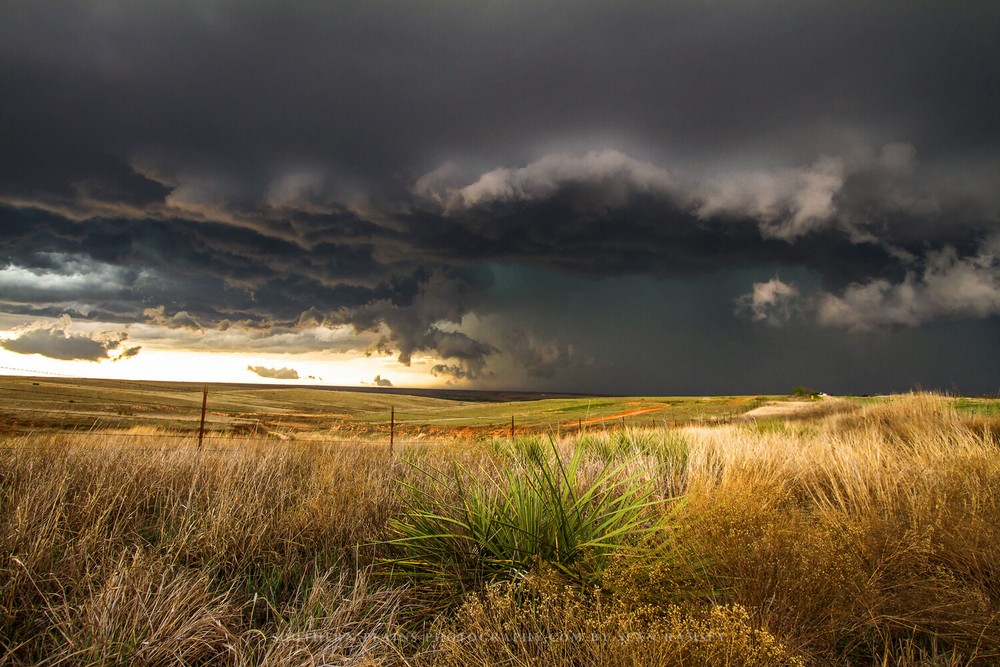 Storm Photography Print – Picture of Thunderstorm Over Plains in Texas Panhandle