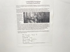 Jeff Ripple 2005 Signed Photograph of Tomoka River Florida Landscape 30 x 25