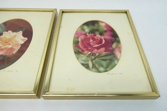Signed 1974 Gold Framed Matted Flower Floral Photographs Pink Rose Photos Decor