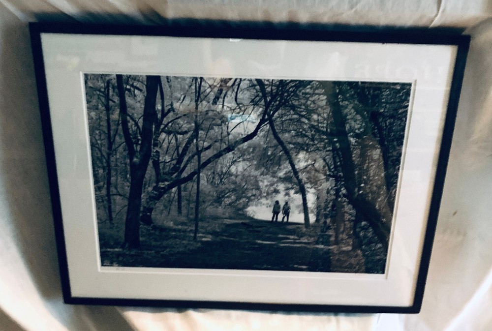 “Into the Woods” by Texas Photographer R. Maines, B&W signed, matt, glass, 1/1