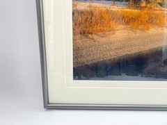 Jeff Ripple 2005 Signed Photograph of Tomoka River Florida Landscape 30 x 25