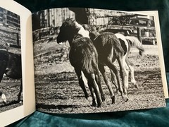 RARE ‘Back Home’ Signed Photography Art Book, Lexington Ky ISBN #9787517907770