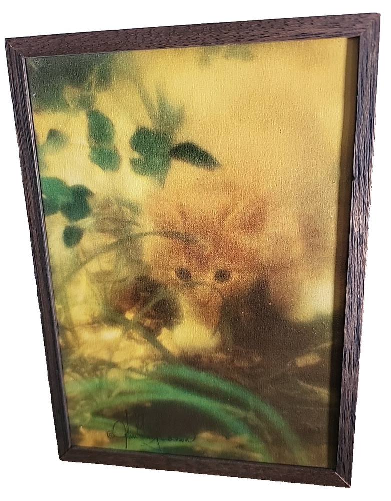 MCM Cat Print in Chunky Box Frame, VTG Kitten Photo 70s John Gary Dodson Orange