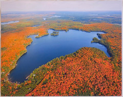 Forest Lake, Land O’ Lakes, Wisc. Vilas County Aerial Photograph. Frame Optional