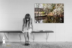 Phinizy Swamp – Fine Art Nature Photography by Bear8Photo