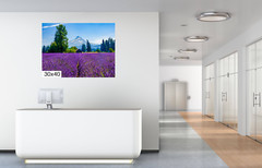 Lavender Dreams: Mt Hood Lavender Fields Landscape Wall Art Flower Print