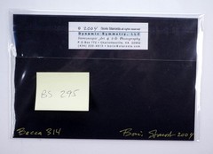 Boris Starosta 3D Stereoview – Becca 314 – nude model signed 2004 #295