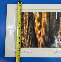 Louis Cantillo ORGAN PIPE CATUS Signed Photo Arizona Matted Mounted 14 x 11 New