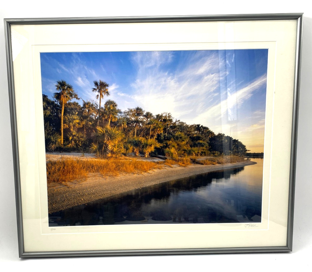 Jeff Ripple 2005 Signed Photograph of Tomoka River Florida Landscape 30 x 25