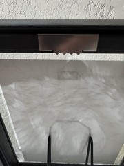Beautifully captured black & white tree at a park in El Paso Texas