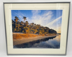 Jeff Ripple 2005 Signed Photograph of Tomoka River Florida Landscape 30 x 25