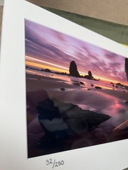 Signed Photography 11 x 14 Matted Unframed, Brilliant Full Color Seashore