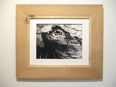 fine art black and white photographs north woods strange