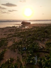 Sri Lanka Sunset Nature Beach Sun Photograph Photo Beautiful Image For a print