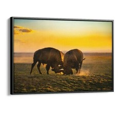 28×42 Framed canvas buffalo bison on western great plains landscape photography