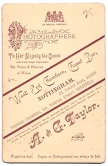 Photograph A. & G. Taylor, Nottingham, West End Chambers, Portrait of a Young