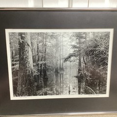 Blair Pittman: “Old River” – Original Gelatin Silver Print Photograph