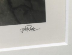 Jeff Ripple Signed Framed Photograph “New Turkey Key II”.