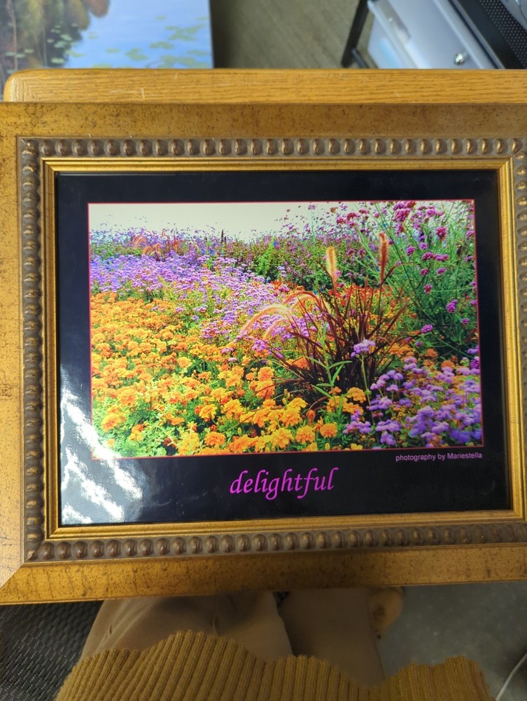 Mariestella Photography If Flowers 17 In Long 15-1/2 Height