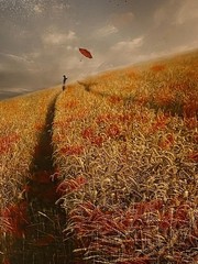 Mixed Media: Certified “Wind” Photo Art Print by Christine Ellger