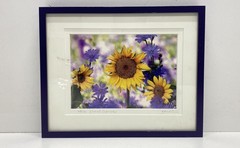 Richard LaMartina Signed Photograph Sunflowers & Chicory 11×9 Framed Art 28/250
