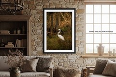 Great Egret Photography Print: Louisiana Swamp Water Bird Wildlife Nature Photo