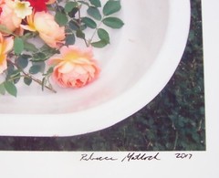 Enamel Tub of ROSES Flowers Original Photography SIGNED 2017 Fresh Bouquet