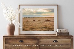 Cows in Tall Prairie Grass Texas Western Farm Ranch Cattle Photography Print