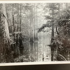 Blair Pittman: “Old River” – Original Gelatin Silver Print Photograph