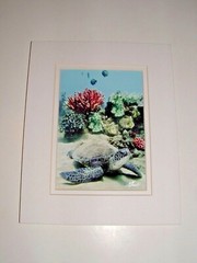 Hawaii Sea Turtle Ocean Photo, “Covered in Sand”, Matted, Age Unknown, pre-owned