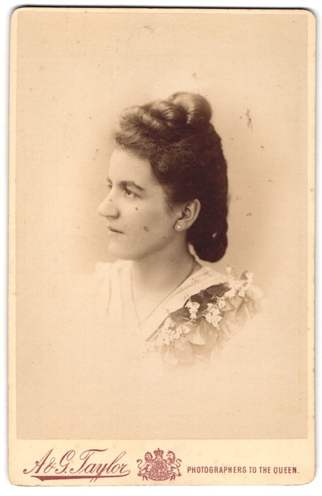 Photograph A. & G. Taylor, Nottingham, West End Chambers, Portrait of a Young