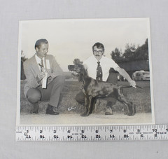 Vintage Dog Show Photograph Setter Signed Rubin 8×10 Award Ribbon 1970s Photo