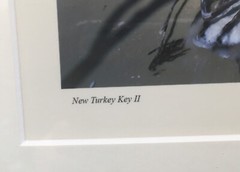 Jeff Ripple Signed Framed Photograph “New Turkey Key II”.