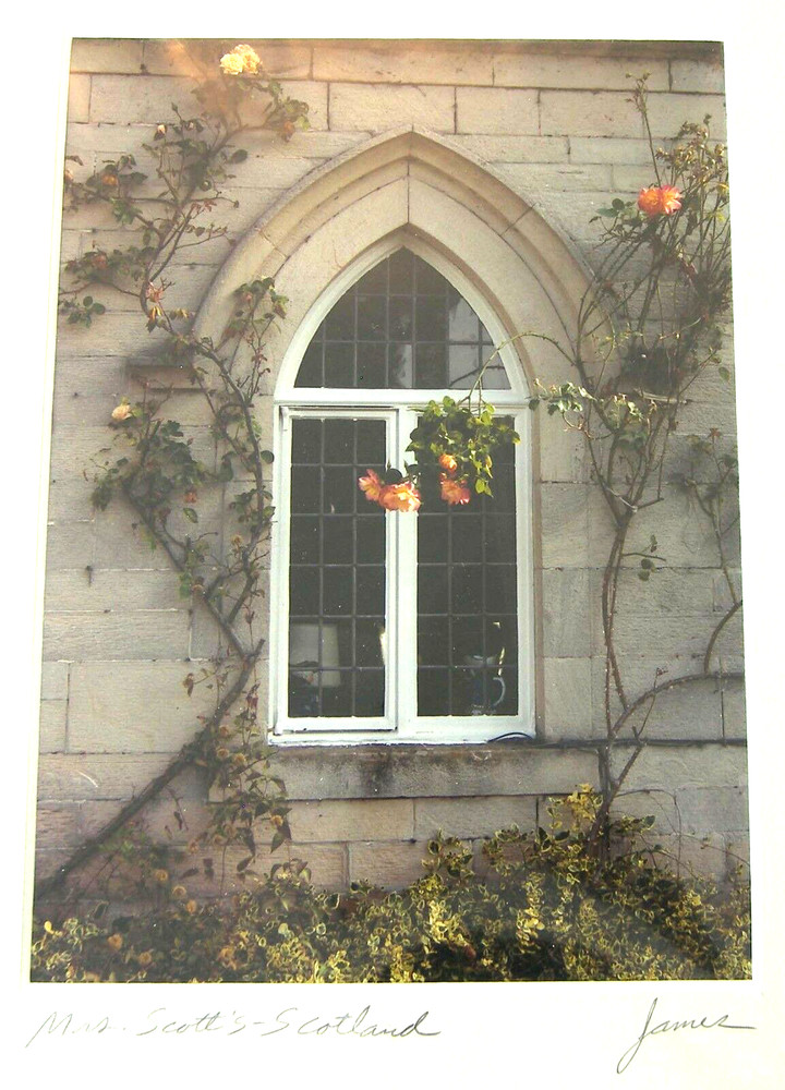 Art Photo Mrs Scott’s Window Roses Scotland Signed Paul C James 5 x 7 inches