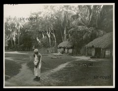 Ceylon 1930 – Native Village – Sri Lanka 1930s – Photo 12x9cm