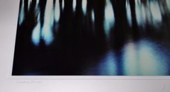 Photograph – L. Ed. (50), Framed 30″ x 40″ Loxahatchee River, FL, Jeff Ripple