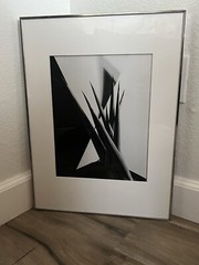 Imogen Cunningham(1883–1976) Agave Design I, 1920-1923, Gelatin Silver Print