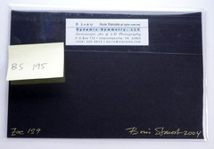 Boris Starosta 3D Stereoview – Zoe 129 – portrait model signed 2004 #195