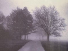 Black & White Art Photograph Print Richard Calvo Carriage Road Signed Framed
