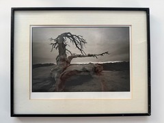 Signed BW Landscape Photograph – Matted & Framed Nature Art – unknown artist