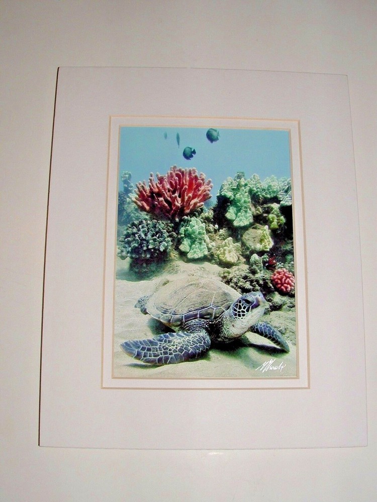 Hawaii Sea Turtle Ocean Photo, “Covered in Sand”, Matted, Age Unknown, pre-owned