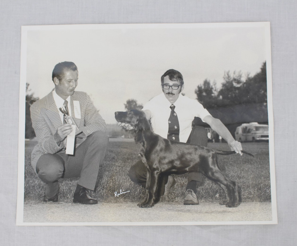 Vintage Dog Show Photograph Setter Signed Rubin 8×10 Award Ribbon 1970s Photo