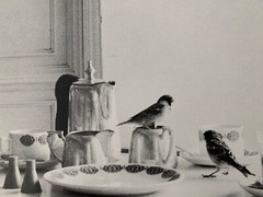 XAVIER ZIMBARDO ,’BIRDS SITTING ON A TABLE’ AUTHENTIC 1980’s ART PRINT