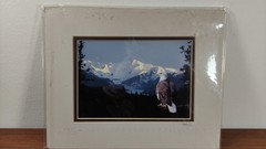 Original Photo Artwork American Bold Eagle Mountains Signed & Numbered by Artist
