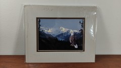 Original Photo Artwork American Bold Eagle Mountains Signed & Numbered by Artist
