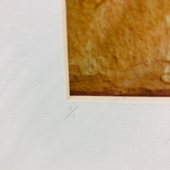 Fine Art Photography signed PETROGLYPH photo Alain Briot Number 1/1 Matted Utah