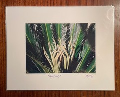 Original photographic print “New Fronds” by Michael Blumenstock